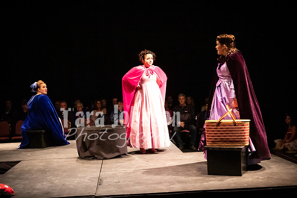 2020 MHS 3 Fairy Godmothers- Show 1 - TJP (17 of 103)