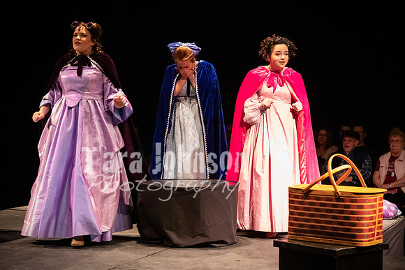 2020 MHS 3 Fairy Godmothers- Show 1 - TJP (19 of 103)