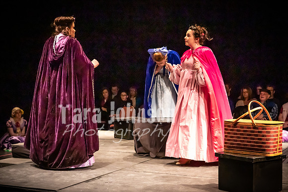 2020 MHS 3 Fairy Godmothers- Show 1 - TJP (20 of 103)