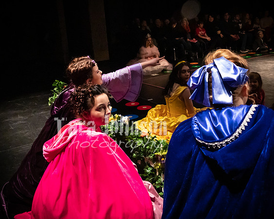 2020 MHS 3 Fairy Godmothers- Show 1 - TJP (27 of 103)