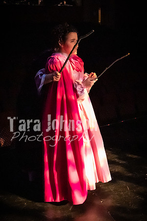 2020 MHS 3 Fairy Godmothers- Show 1 - TJP (35 of 103)