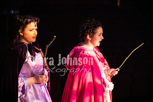 2020 MHS 3 Fairy Godmothers- Show 1 - TJP (36 of 103)