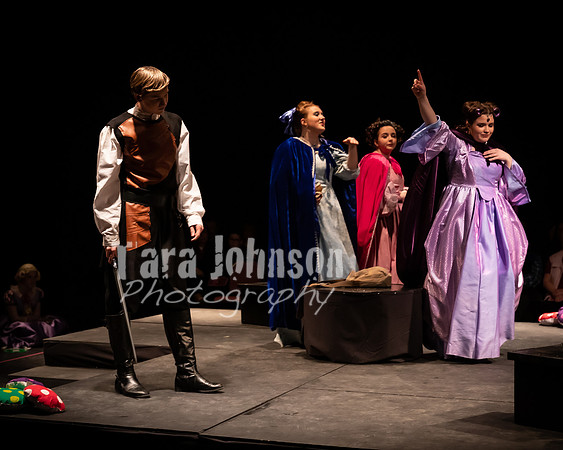 2020 MHS 3 Fairy Godmothers- Show 1 - TJP (43 of 103)