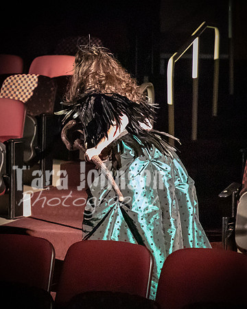 2020 MHS 3 Fairy Godmothers- Show 1 - TJP (49 of 103)