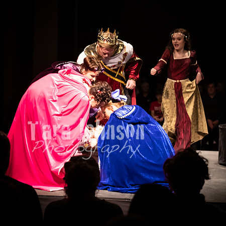 2020 MHS 3 Fairy Godmothers- Show 1 - TJP (5 of 246)