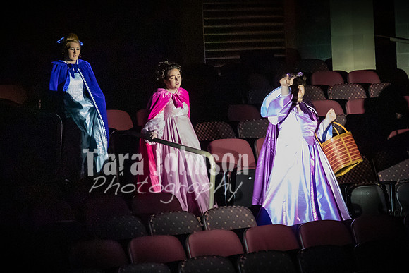 2020 MHS Fairy Godmothers - Show 2 - TJP (12 of 208)