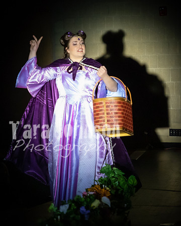 2020 MHS Fairy Godmothers - Show 2 - TJP (14 of 208)