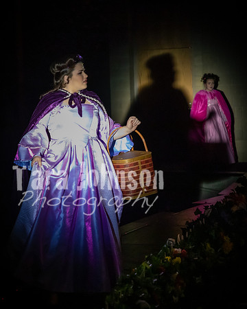 2020 MHS Fairy Godmothers - Show 2 - TJP (15 of 208)