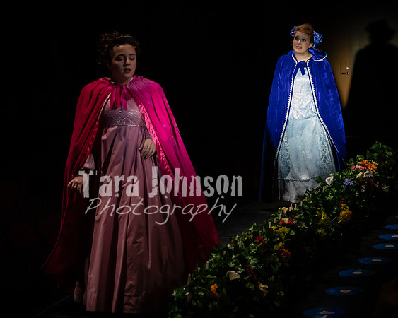 2020 MHS Fairy Godmothers - Show 2 - TJP (17 of 208)