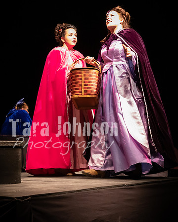 2020 MHS Fairy Godmothers - Show 2 - TJP (21 of 208)