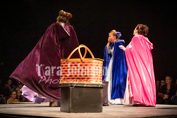 2020 MHS Fairy Godmothers - Show 2 - TJP (22 of 208)