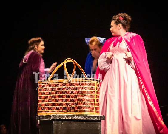 2020 MHS Fairy Godmothers - Show 2 - TJP (23 of 208)