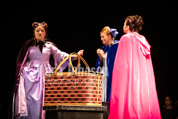 2020 MHS Fairy Godmothers - Show 2 - TJP (24 of 208)