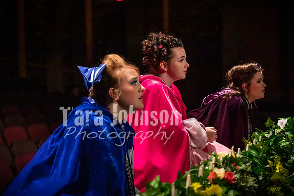 2020 MHS Fairy Godmothers - Show 2 - TJP (26 of 208)