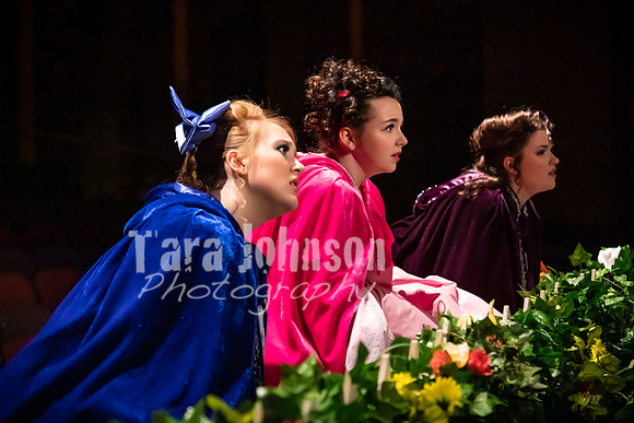 2020 MHS Fairy Godmothers - Show 2 - TJP (27 of 208)