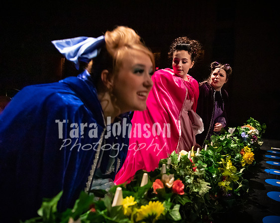 2020 MHS Fairy Godmothers - Show 2 - TJP (30 of 208)