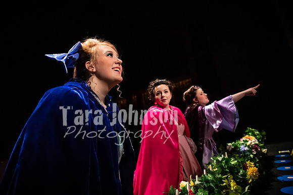 2020 MHS Fairy Godmothers - Show 2 - TJP (32 of 208)