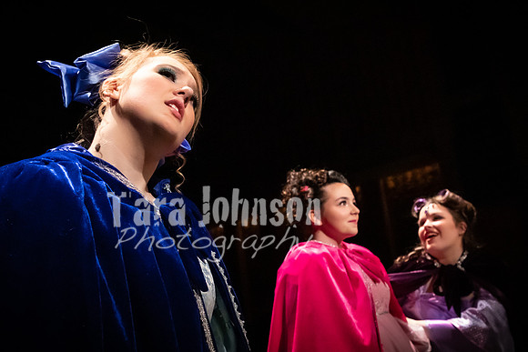 2020 MHS Fairy Godmothers - Show 2 - TJP (33 of 208)