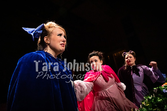 2020 MHS Fairy Godmothers - Show 2 - TJP (34 of 208)