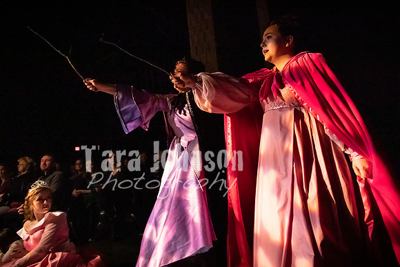 2020 MHS Fairy Godmothers - Show 2 - TJP (40 of 208)