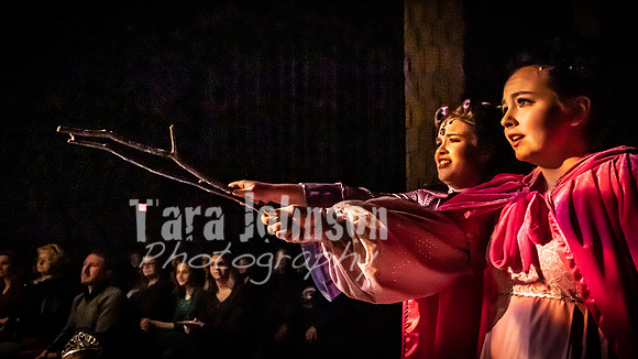 2020 MHS Fairy Godmothers - Show 2 - TJP (41 of 208)