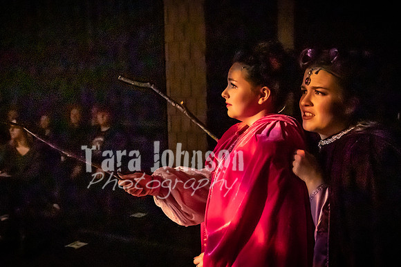 2020 MHS Fairy Godmothers - Show 2 - TJP (42 of 208)