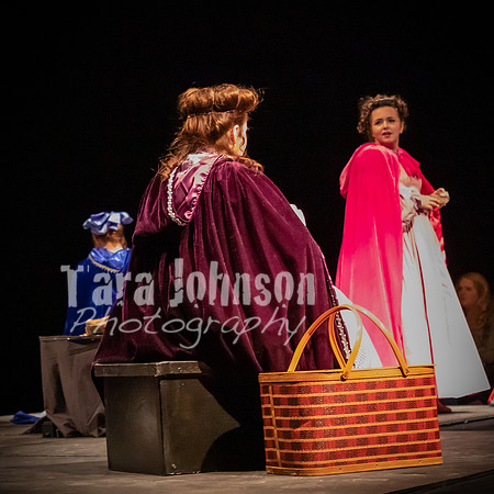 2020 MHS Fairy Godmothers - Show 2 - TJP (43 of 208)