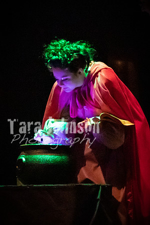2020 MHS 3 Fairy Godmothers - Show 2 - TJP (28 of 116)