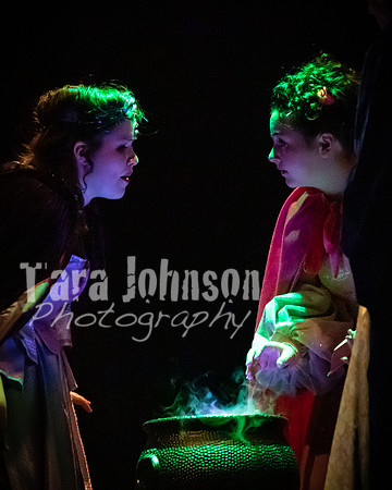2020 MHS 3 Fairy Godmothers - Show 2 - TJP (31 of 116)