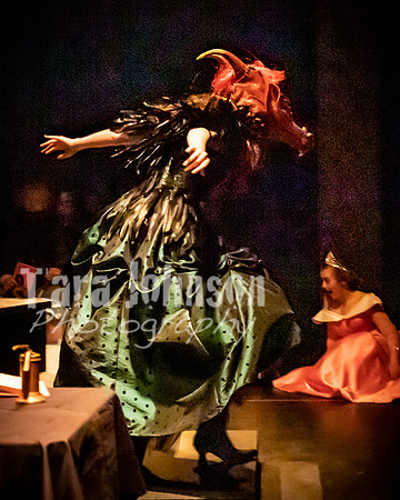 2020 MHS 3 Fairy Godmothers - Show 2 - TJP (74 of 116)