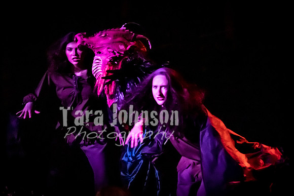 2020 MHS 3 Fairy Godmothers - Show 2 - TJP (87 of 116)