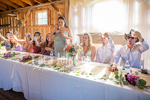 Doug & Bridget Law - Reception - TJP (28 of 193)