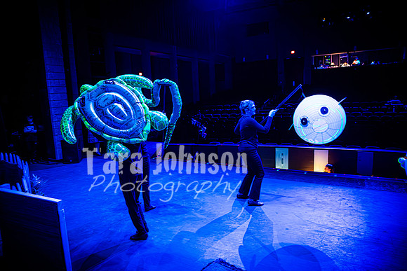 2024 MTC - Honk - R2 (Tuesday) - TJP (176 of 1192)