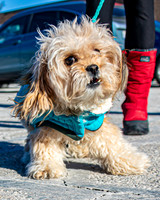 MLK Dog - TJP (3 of 11)