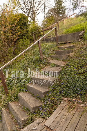 Homestead - 3421 Duffield - TJP (16 of 42)