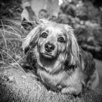 Forrest Family - BW - TJP (5 of 35)