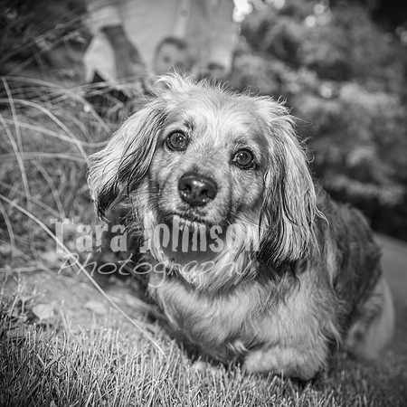 Forrest Family - BW - TJP (5 of 35)
