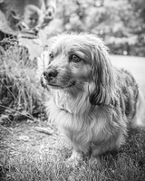 Forrest Family - BW - TJP (6 of 35)