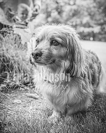 Forrest Family - BW - TJP (6 of 35)