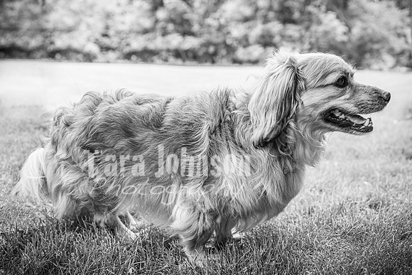 Forrest Family - BW - TJP (7 of 35)