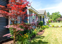 Homestead - 1631 Apple Orchard Ln. - TJP (1 of 32)
