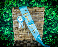 Baby Linhart's Shower - TJP (4 of 152)