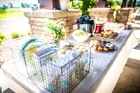 Baby Linhart's Shower - TJP (10 of 152)