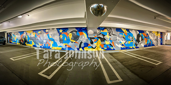 TJP Venues - Z Deck - TJP (13 of 61)