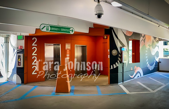 TJP Venues - Z Deck - TJP (53 of 61)