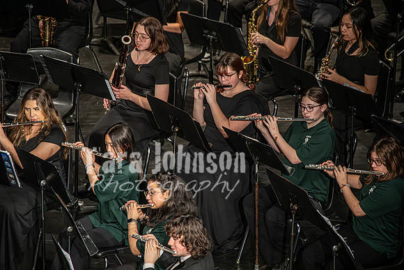 2024 LHS Band - March Madness - NF (76 of 87)