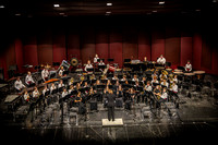24 MS Band - March Madness - MMS - TJP (11 of 300)