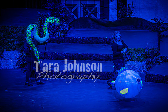 2024 MTC - Honk - Matinee - TJP (127 of 856)