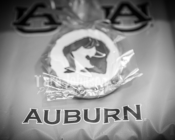 Tara Walsh's Grad Party - BW - TJP (137 of 331)