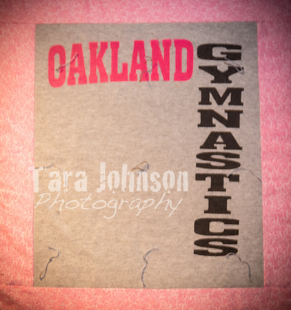 Tara Walsh's Grad Party - TJP (176 of 331)